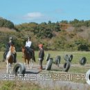 종은목장 이미지