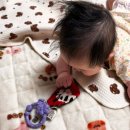 하늘체육관 | 4개월 아기 장난감 피셔 프라이스 피아노 아기체육관 장난감대여후기