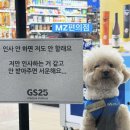 일상기록자의 주간 기록 02