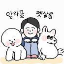 알라꿀 펫살롱 이미지