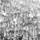 심상풍경 이미지