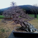 제주아트랜드 이미지