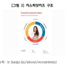 러CIS토크)카자흐스탄은 어떻게 디지털 강국이 되었나 이미지