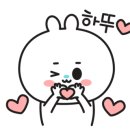 시소안경원 신촌점 이미지