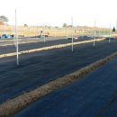 선산농장 이미지