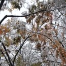 뚝섬한강공원-11 이미지