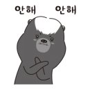 쭈순이 네이버블로그