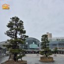 [일본 다카마쓰]다카마츠 심볼타워 무료 전망대+JR 다카마쓰역 쇼핑(무인양품)+아케이드(돈키호테...
