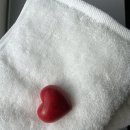 [법무연수원]뱀부•수피마타월 납품 후기]품질로 선택받은 프리미엄 타월의 차이 !!