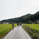 품실채마을 네이버블로그