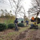 동강중학교 이미지