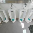 물놀이장 이동식 화장실 이미지