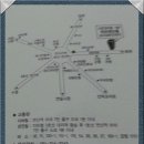 구)대동초 Daum카페