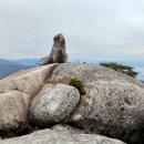 회룡역 [사패산(552m)] 초대합니다(11/17 셋째주일) 이미지