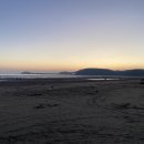 몽산포 야영장 이미지