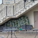 문라이트캠핑장 | 강화도캠핑카 가능한 &#34; 문라이트캠핑장 &#34; 레이캠핑카 캠핑 내돈내산후기