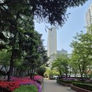 명품부동산공인중개사사무소 | 롯데캐슬아파트전세 매매 용산역부동산 롯데명품캐슬공인중개사사무소