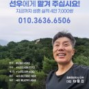 우물밖개구리