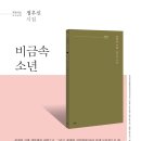 비금속 소년 - 정우신 시집 / 파란시선 이미지