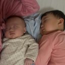 명동 파티·파티 이미지