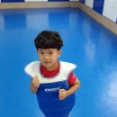 차돌체육관(태권도) 이미지