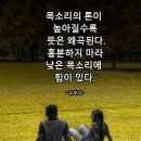 강원연구원 자주 노동조합 | 25년 12월 이야기, 29일은 쿠페아가 쏘아 올린 보랏빛 꽃으로 불꽃놀이하듯 올해 마지막 주를 보다 의미...