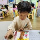 🌷배려반🌷 풍성한 가을 2(수놀이,알록달록 가을풍경,실외,창의,속담-고운 말 사전,드림,인성-정직,게임,감정) 이미지