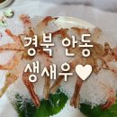 옥동돌문어 이미지