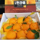 (주)화순뉴스
