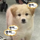 강서클라이밍 센터 후기 (여가문화 올라잇 프로그램 짱)