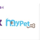 기프트 펫 이미지