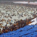 농바우민박 이미지