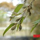 논개사당 이미지