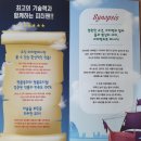 어린이도, 어른이도 모두 떠나자 네버랜드로! 가족뮤지컬 '피터팬' 더 신나게 즐기는 방법! (8...