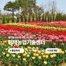 경기도 광주시 농업기술센터 | [경기] 평택농업기술센터 경기도튤립축제 개화상황