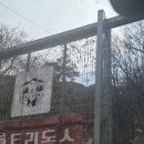 맘스터치 고령점 | 반려견과 함께하는 대구근교 캠핑 트리독스 방문기