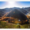 장태산의아침 이미지