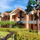 동해무릉건강숲 이미지