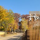 명품옻골1616협동조합 이미지