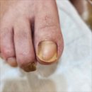 네일다움 이미지