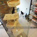 호담동물병원 이미지