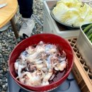 휴먼캠핑장 이미지