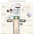 지방흡입 마취방법 [전신마취 vs 수면마취+국소마취] 이미지