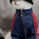 아메리칸 불리 하우스 이미지