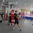 탑비트복싱클럽 이미지