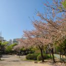 영등근린공원 이미지