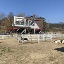 하북체육공원 축구장 이미지