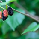 오디한의원 이미지