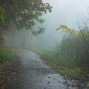 오크랜드 이미지