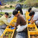 장성농장 이미지